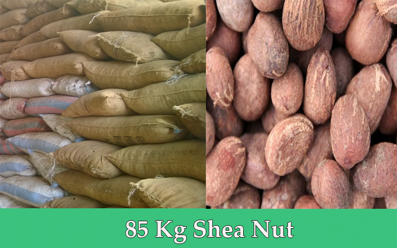 shea nut picture